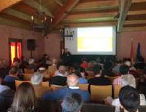 Sotrafa – Session about Disinfection in Strawberries Plants Nurseries