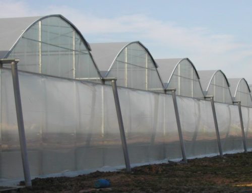 What is the better plastic film for a greenhouse?